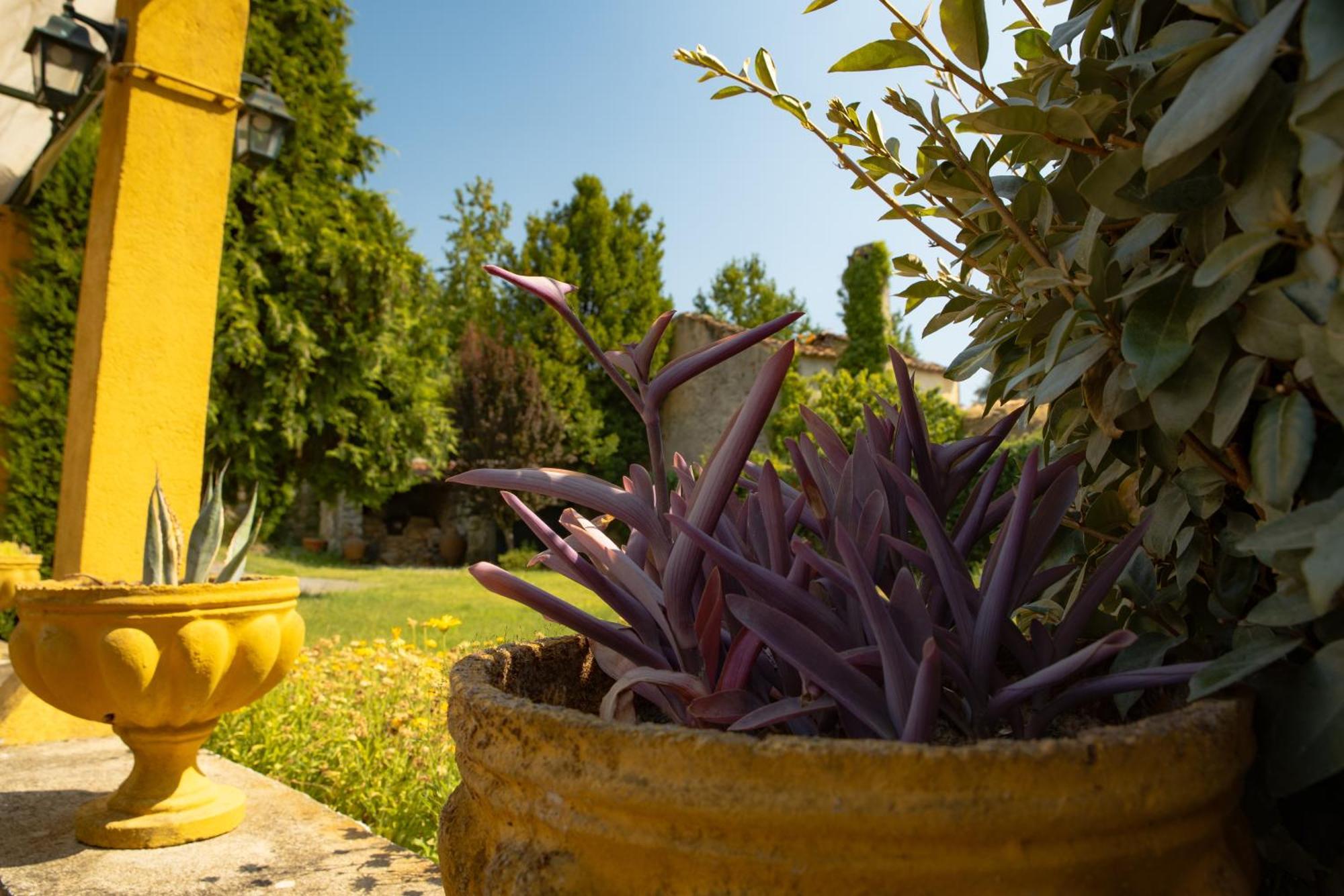A Sobreirinha Jacuzzi E Pet Friendly Villa Sobreira Formosa Exteriör bild